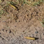 0f78d1b542464b7e86595c04ec9c9293