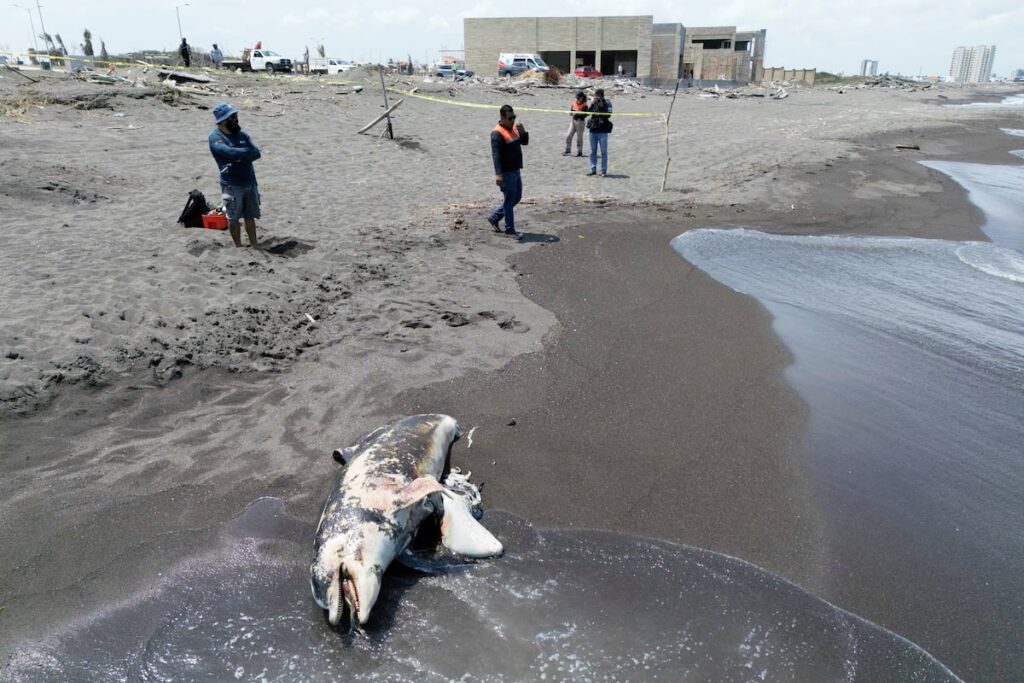 107b08f681634324924d0204fa427c04