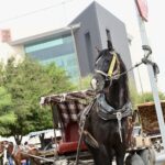 2d8f2b169d7340579b8cccd5f90ad446