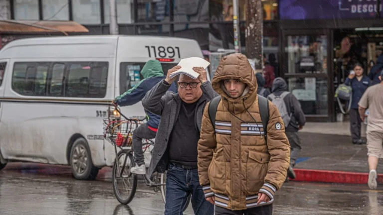 2e14d4f5c56e4a1d8a78339384eb12bd