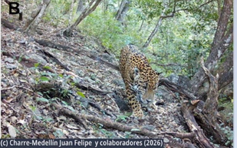 3509c2ca2a874ada9432ef6b2be38194