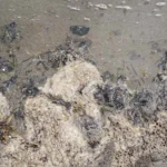 40666fd5068c4b77b0e8a39fa9150bbd