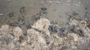 40666fd5068c4b77b0e8a39fa9150bbd