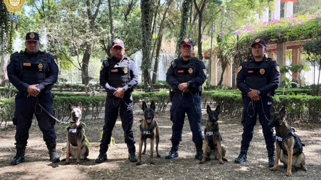 50615fc1fb274610940f4dc7fb729537