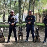 50615fc1fb274610940f4dc7fb729537