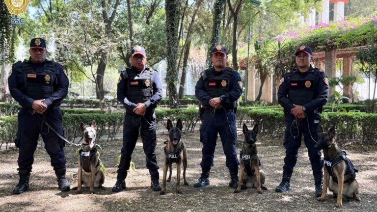 50615fc1fb274610940f4dc7fb729537