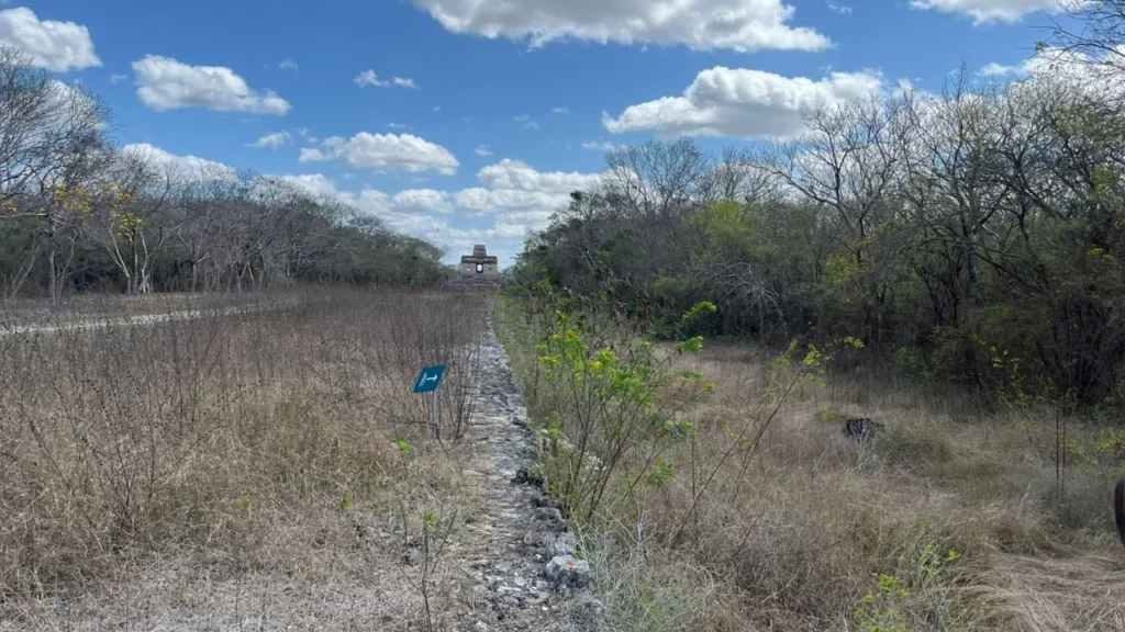 5e093f53366e415ea47b10c30e346c63