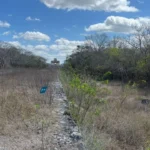 5e093f53366e415ea47b10c30e346c63