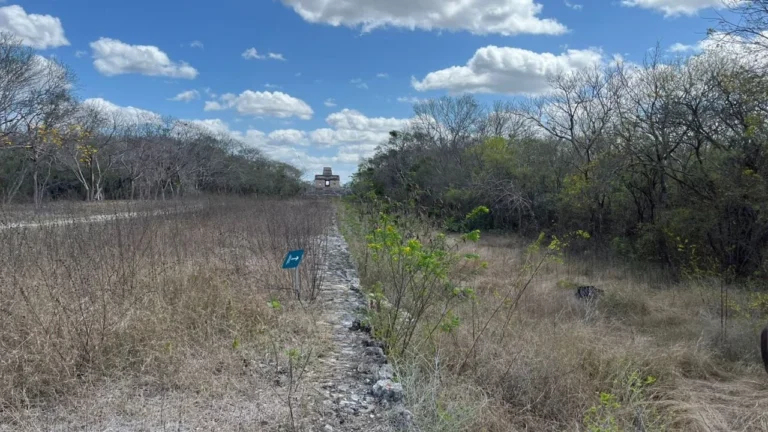 5e093f53366e415ea47b10c30e346c63