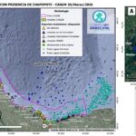 660e5c347e514fc8887352c17342b93a