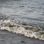 6671bfba536748b38e1bffe6b6e15d4d