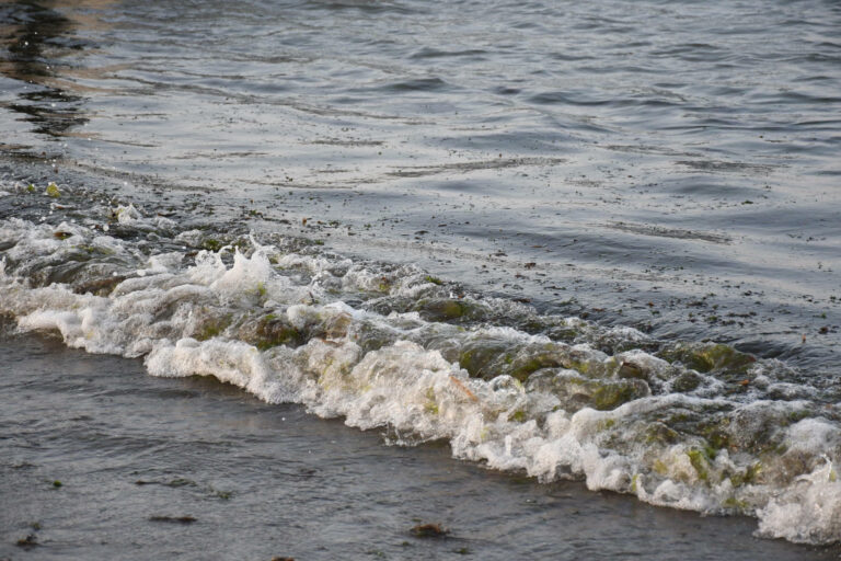 6671bfba536748b38e1bffe6b6e15d4d