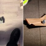 687c88a3f26547339701825bf706fbd8