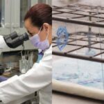 7ba197c627a84d418f1324f15b964615