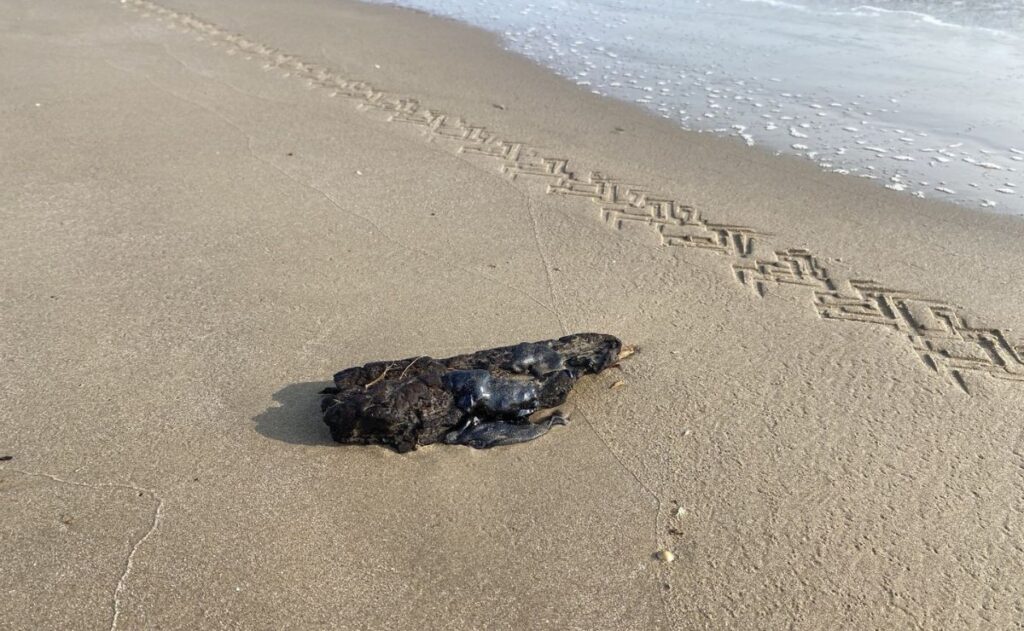 a434b19dd6204f4d9c509612cf573410