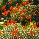 a9e13a7b92024a61b088a721a4fee760