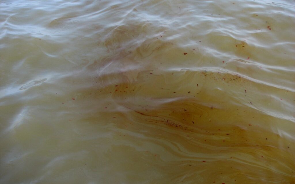 bb592d686ac84dbe8e62fe7a065c7a51