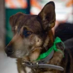 e093aacc0f0447ba9ef1981fb9d9922b