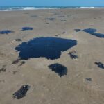 f03ab8564607440ab512a2350349db7e