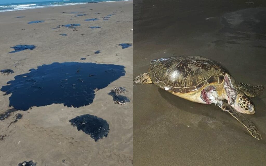 f270e4039626439596ad4a97837fb0f3