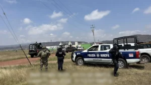 2461c12b24aa41339ab6370222f64c37