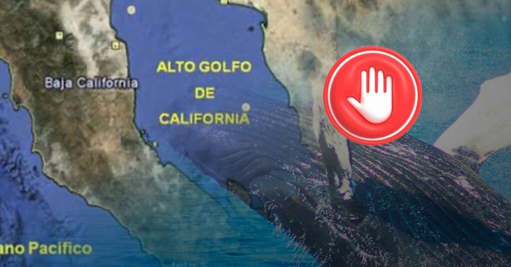 2f2b38216c9f4b90a825f0c046f3d7a1