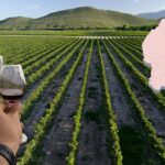 56013e738cac4d248c31d41c638ee88b