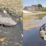 5dafdd3c5257404ab362f4091dc3f9f7