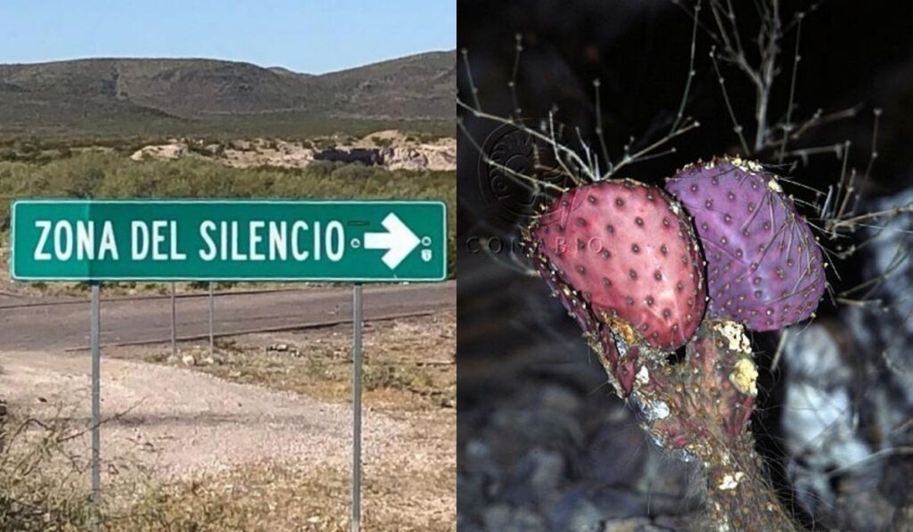 5e09c239007e4eb69b3f9dd4511031d4