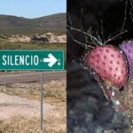 5e09c239007e4eb69b3f9dd4511031d4