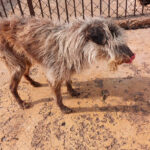 680c5ff13db643b0ade7532e450a3244