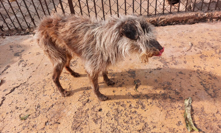 680c5ff13db643b0ade7532e450a3244