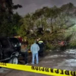 8528a248f0b9469fb956771958795fde