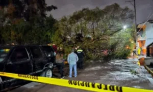 8528a248f0b9469fb956771958795fde