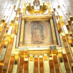 afea98237df543be8794d763629be1b0