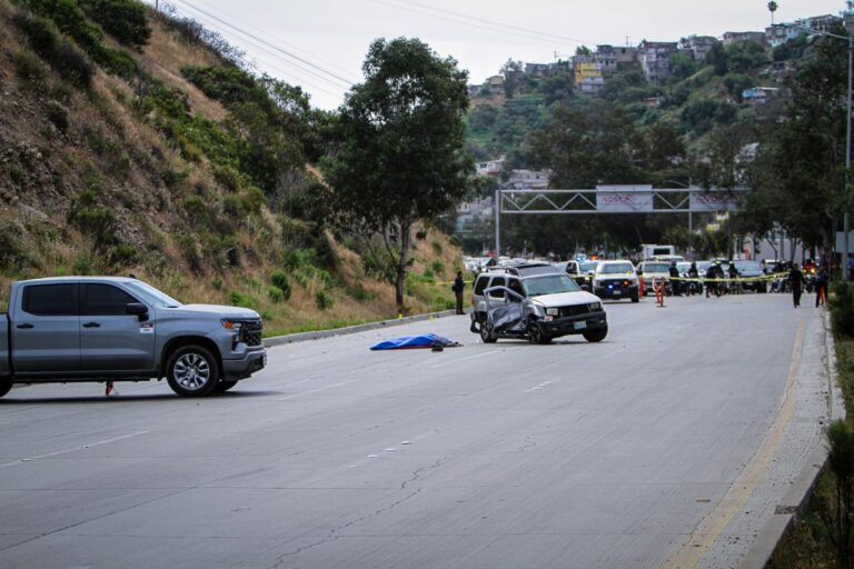 ce5c668beba34d21af6f49ee66786479