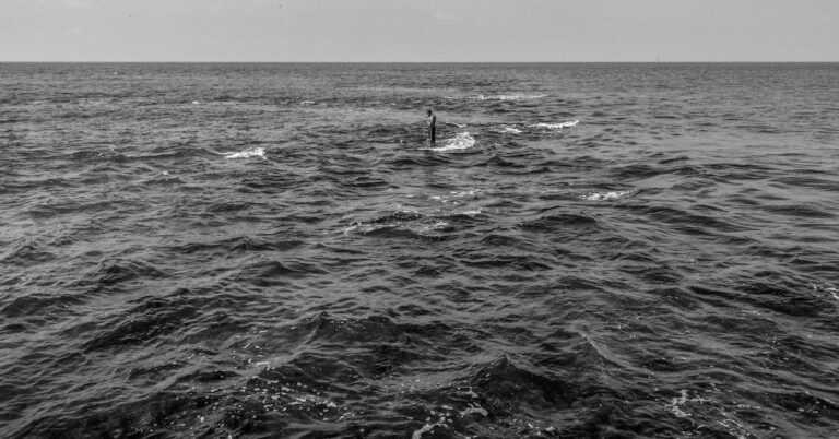 d44c43fbe4904fa5b1d3941637cf05ac