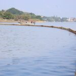 da3b04e8a02743cc8897889198e7ee6a