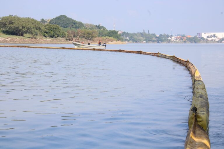 da3b04e8a02743cc8897889198e7ee6a