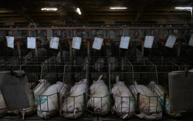 de111def084d4fb79a84ba391583441f