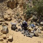 e15165de205b4dd4ac01771e1ae0d952