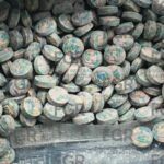 e15a0b0adaf04add96d403fb5bac86b3