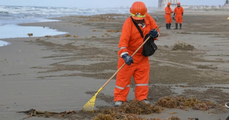 e67fedb99e3f45babd2a920a70e08a49