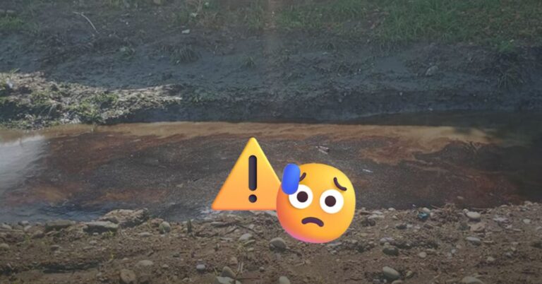 e8180f93096e4c85aaca3c767961048a