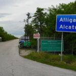 ICE traslada a inmigrantes de 'Alligator Alcatraz' ante el riesgo de huracanes en EEUU