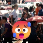 c19e48bbb0d44039a3c80b93d459e8e4